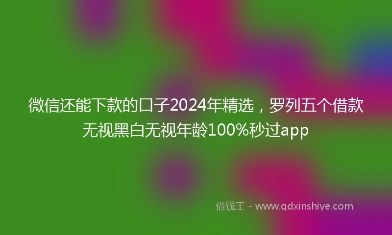 微信还能下款的口子2024年精选，罗列五个借款无视黑白无视年龄100%秒过app