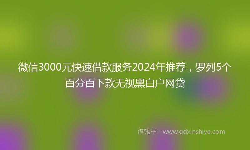 微信3000元快速借款服务2024年推荐，罗列5个百分百下款无视黑白户网贷