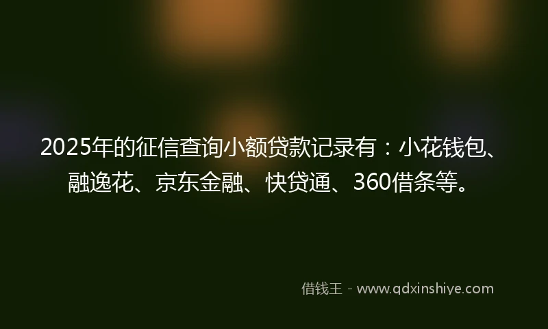 2025年的征信查询小额贷款记录有：小花钱包、融逸花、京东金融、快贷通、360借条等。