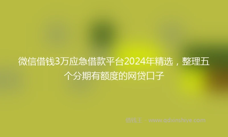 微信借钱3万应急借款平台2024年精选，整理五个分期有额度的网贷口子