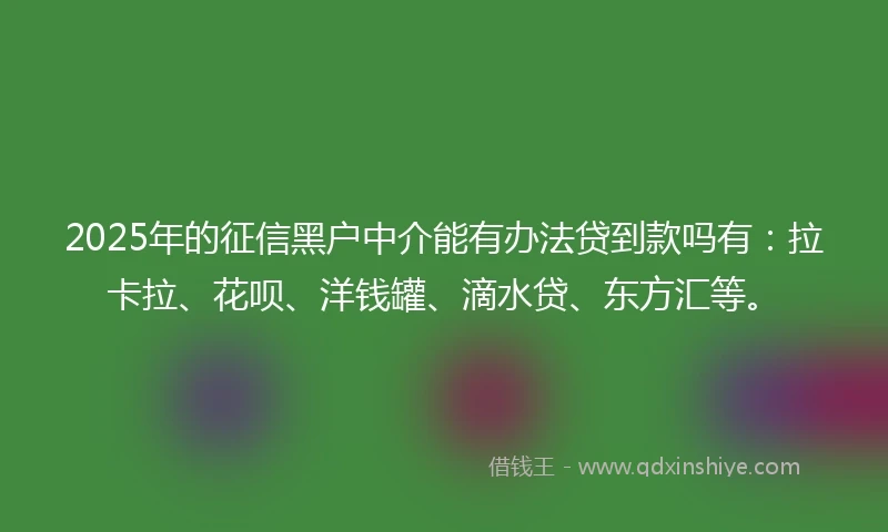 2025年的征信黑户中介能有办法贷到款吗有：拉卡拉、花呗、洋钱罐、滴水贷、东方汇等。
