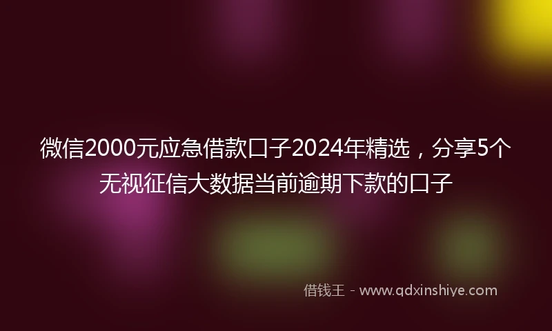 微信2000元应急借款口子2024年精选，分享5个无视征信大数据当前逾期下款的口子