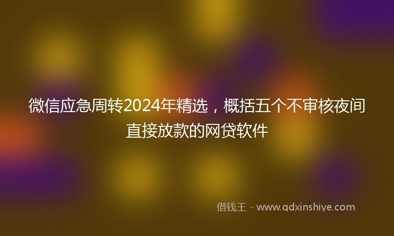 微信应急周转2024年精选，概括五个不审核夜间直接放款的网贷软件