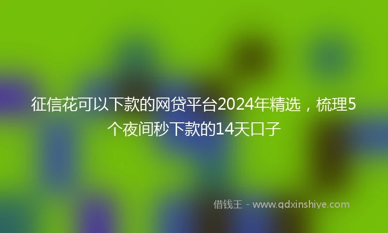 征信花可以下款的网贷平台2024年精选，梳理5个夜间秒下款的14天口子