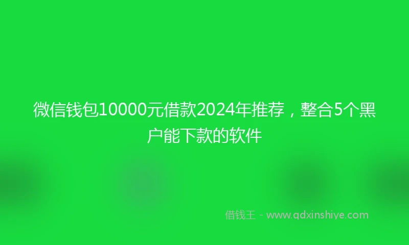 微信钱包10000元借款2024年推荐，整合5个黑户能下款的软件