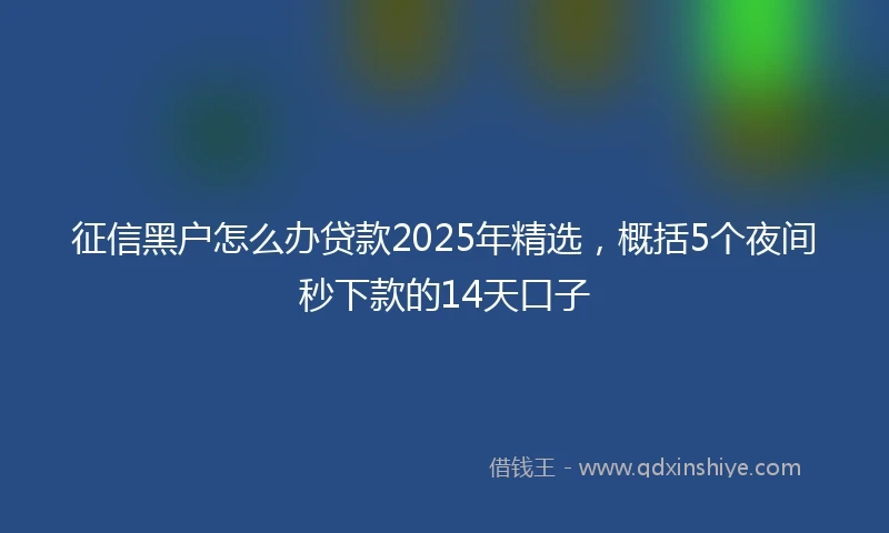 征信黑户怎么办贷款2025年精选，概括5个夜间秒下款的14天口子