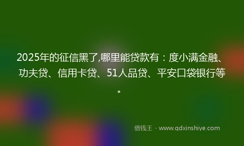 2025年的征信黑了,哪里能贷款有：度小满金融、功夫贷、信用卡贷、51人品贷、平安口袋银行等。