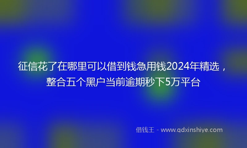 征信花了在哪里可以借到钱急用钱2024年精选，整合五个黑户当前逾期秒下5万平台