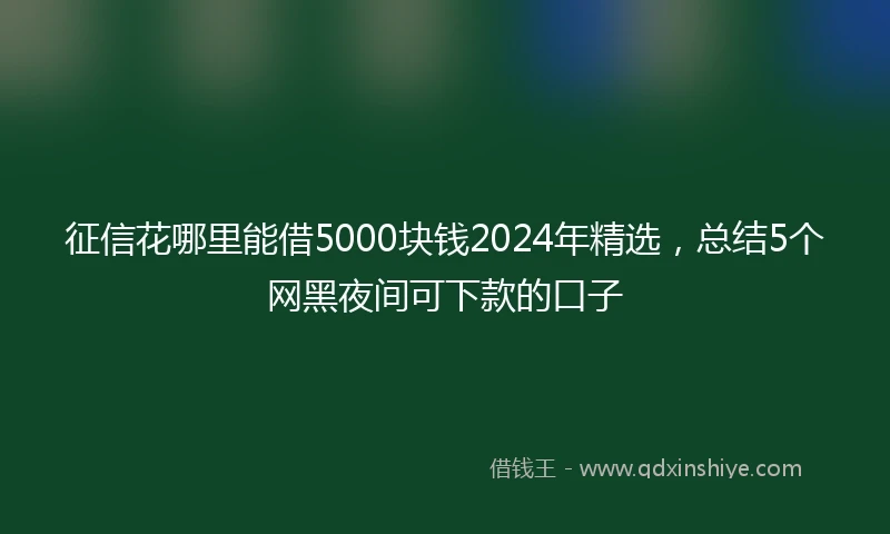征信花哪里能借5000块钱2024年精选，总结5个网黑夜间可下款的口子
