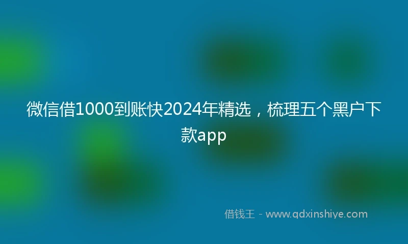 微信借1000到账快2024年精选，梳理五个黑户下款app