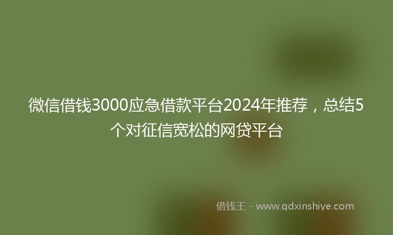 微信借钱3000应急借款平台2024年推荐，总结5个对征信宽松的网贷平台