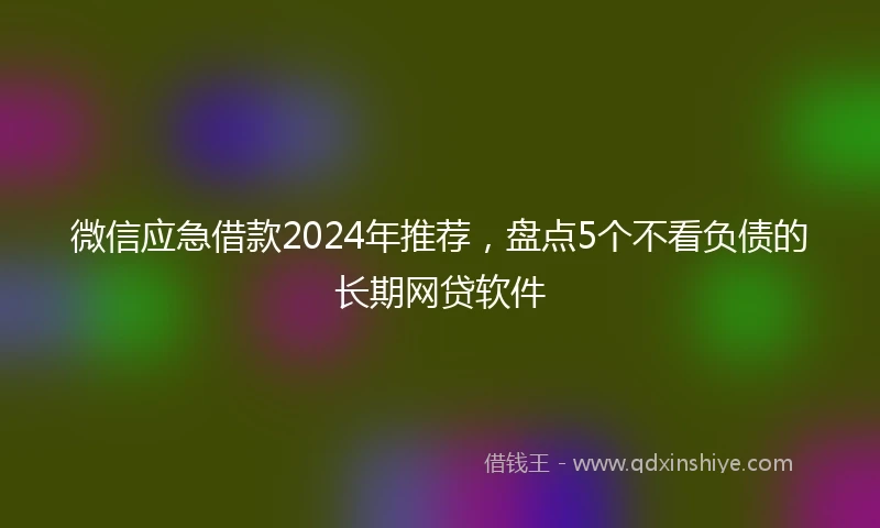 微信应急借款2024年推荐，盘点5个不看负债的长期网贷软件