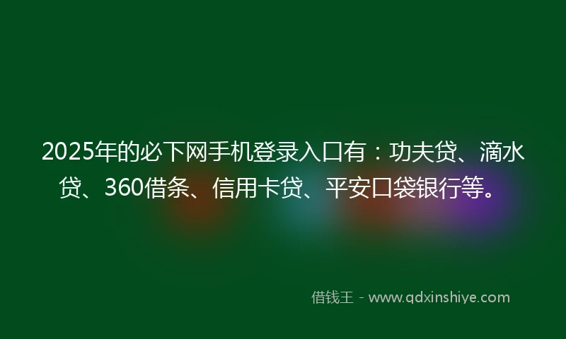 2025年的必下网手机登录入口有：功夫贷、滴水贷、360借条、信用卡贷、平安口袋银行等。