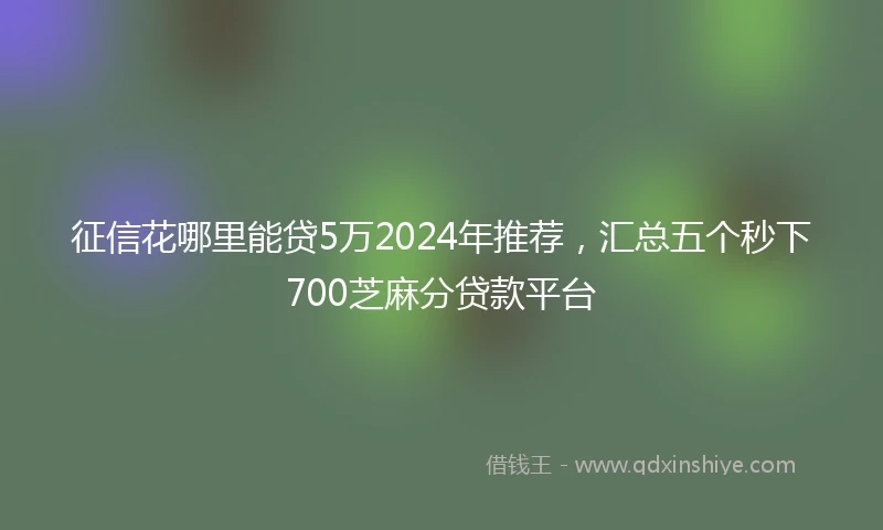 征信花哪里能贷5万2024年推荐，汇总五个秒下700芝麻分贷款平台