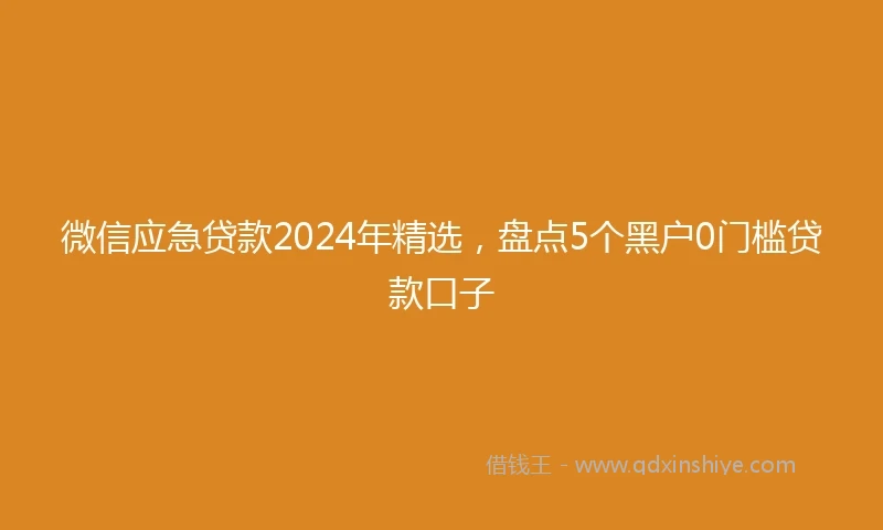 微信应急贷款2024年精选，盘点5个黑户0门槛贷款口子