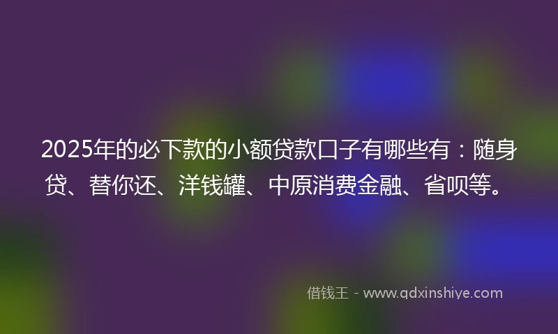 2025年的必下款的小额贷款口子有哪些有：随身贷、替你还、洋钱罐、中原消费金融、省呗等。