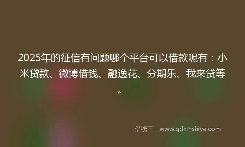 2025年的征信有问题哪个平台可以借款呢有：小米贷款、微博借钱、融逸花、分期乐、我来贷等。