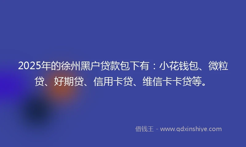 2025年的徐州黑户贷款包下有：小花钱包、微粒贷、好期贷、信用卡贷、维信卡卡贷等。