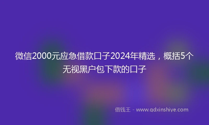 微信2000元应急借款口子2024年精选，概括5个无视黑户包下款的口子
