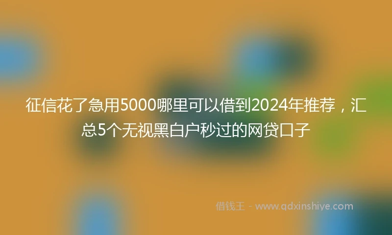 征信花了急用5000哪里可以借到2024年推荐，汇总5个无视黑白户秒过的网贷口子