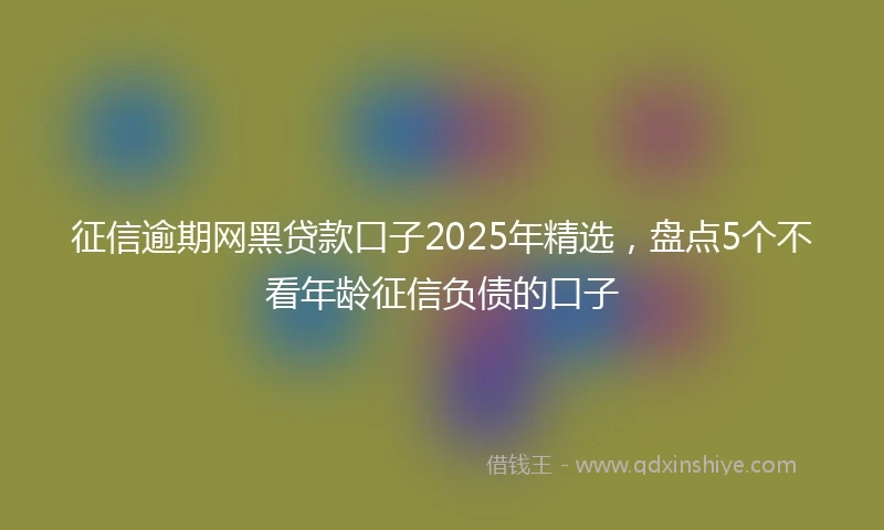 征信逾期网黑贷款口子2025年精选，盘点5个不看年龄征信负债的口子