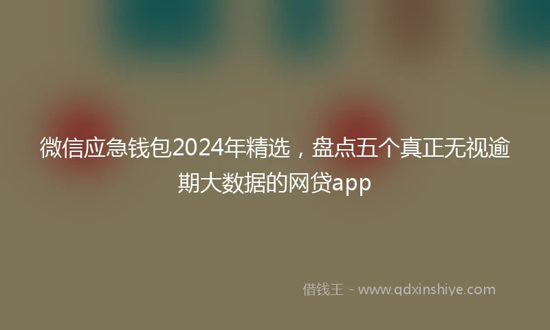 微信应急钱包2024年精选,盘点五个真正无视逾期大数据的网贷app