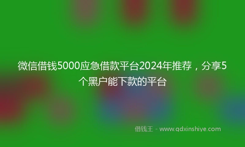 微信借钱5000应急借款平台2024年推荐，分享5个黑户能下款的平台