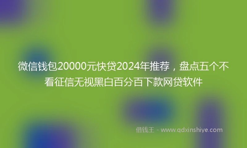 微信钱包20000元快贷2024年推荐，盘点五个不看征信无视黑白百分百下款网贷软件