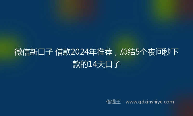 微信新口子 借款2024年推荐，总结5个夜间秒下款的14天口子