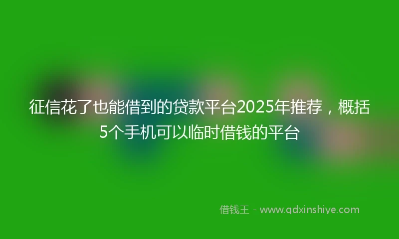 征信花了也能借到的贷款平台2025年推荐，概括5个手机可以临时借钱的平台