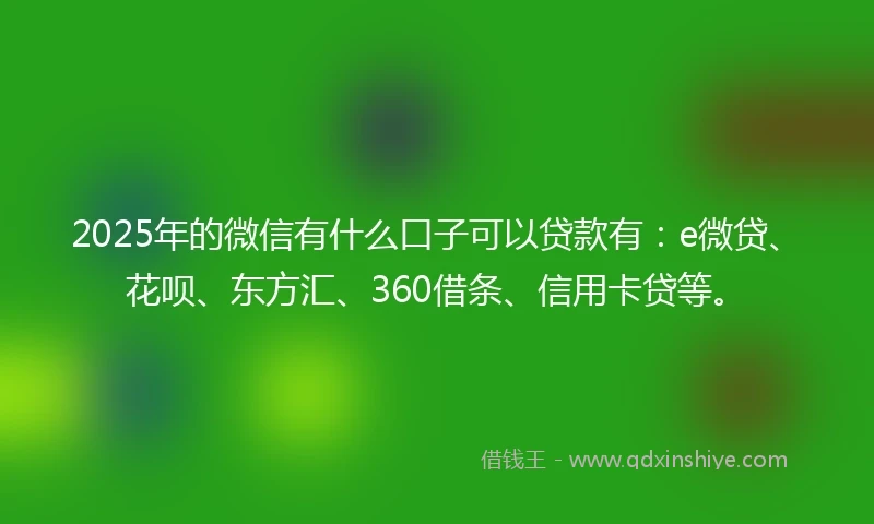 2025年的微信有什么口子可以贷款有：e微贷、花呗、东方汇、360借条、信用卡贷等。