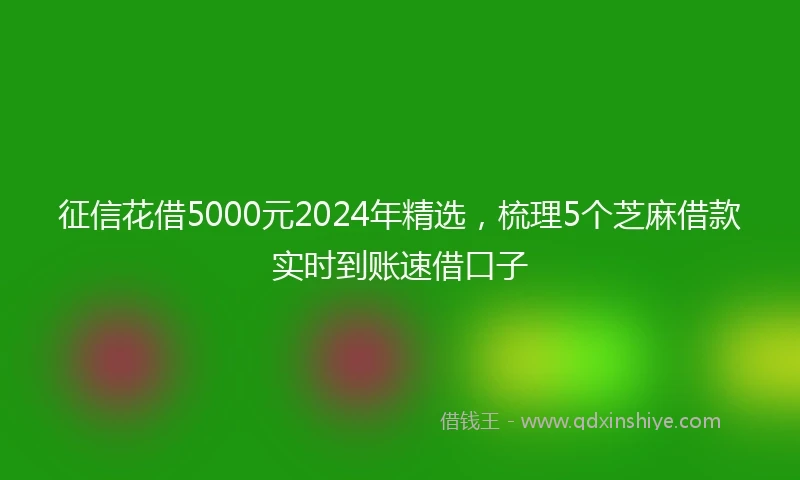 征信花借5000元2024年精选，梳理5个芝麻借款实时到账速借口子