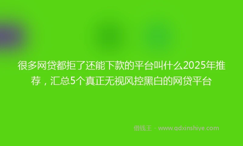 很多网贷都拒了还能下款的平台叫什么2025年推荐，汇总5个真正无视风控黑白的网贷平台