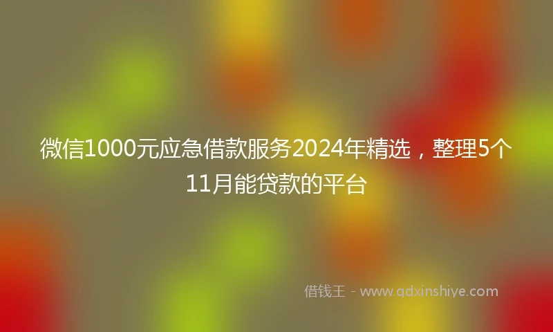 微信1000元应急借款服务2024年精选,整理5个11月能贷款的平台