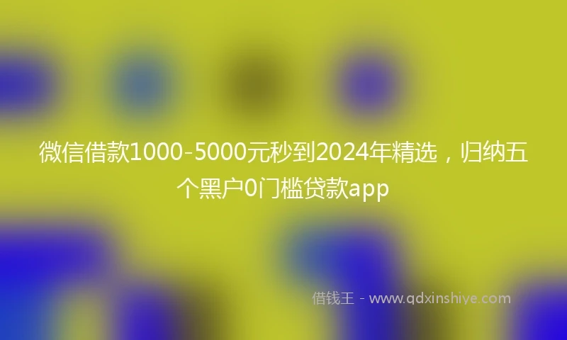 微信借款1000-5000元秒到2024年精选，归纳五个黑户0门槛贷款app