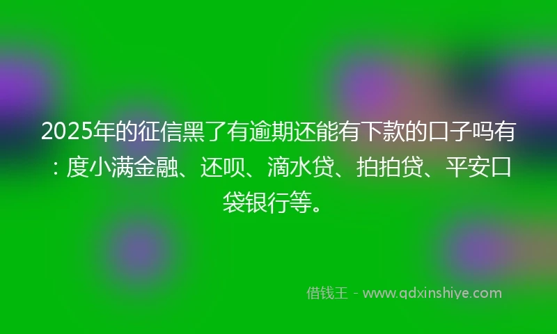 2025年的征信黑了有逾期还能有下款的口子吗有：度小满金融、还呗、滴水贷、拍拍贷、平安口袋银行等。