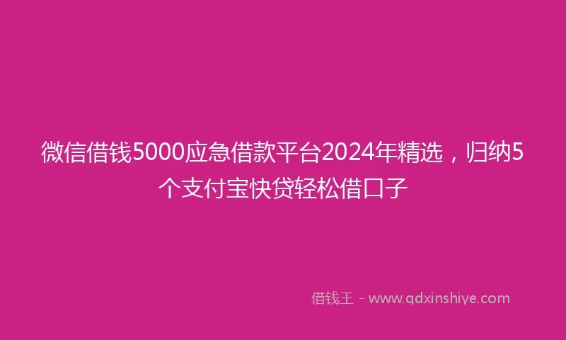 微信借钱5000应急借款平台2024年精选,归纳5个支付宝快贷轻松借口子