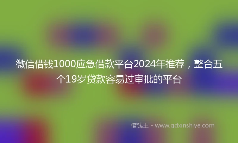 微信借钱1000应急借款平台2024年推荐，整合五个19岁贷款容易过审批的平台
