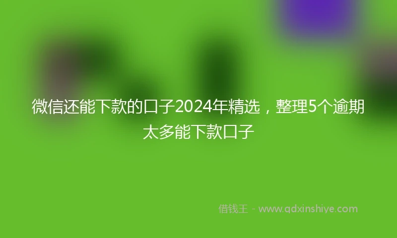 微信还能下款的口子2024年精选,整理5个逾期太多能下款口子