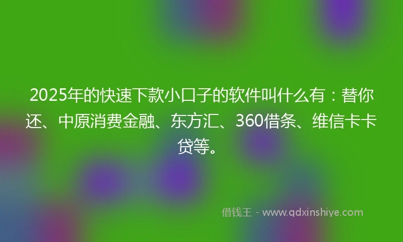 2025年的快速下款小口子的软件叫什么有：替你还、中原消费金融、东方汇、360借条、维信卡卡贷等。