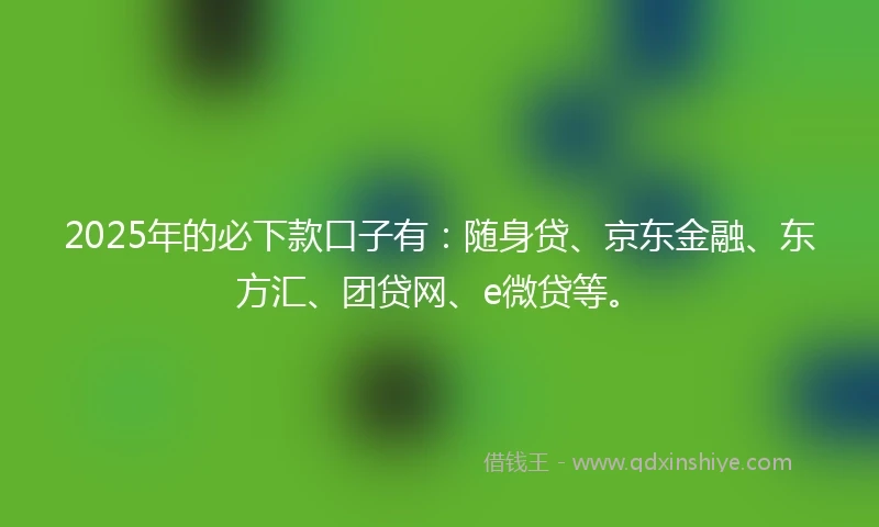 2025年的必下款口子有：随身贷、京东金融、东方汇、团贷网、e微贷等。