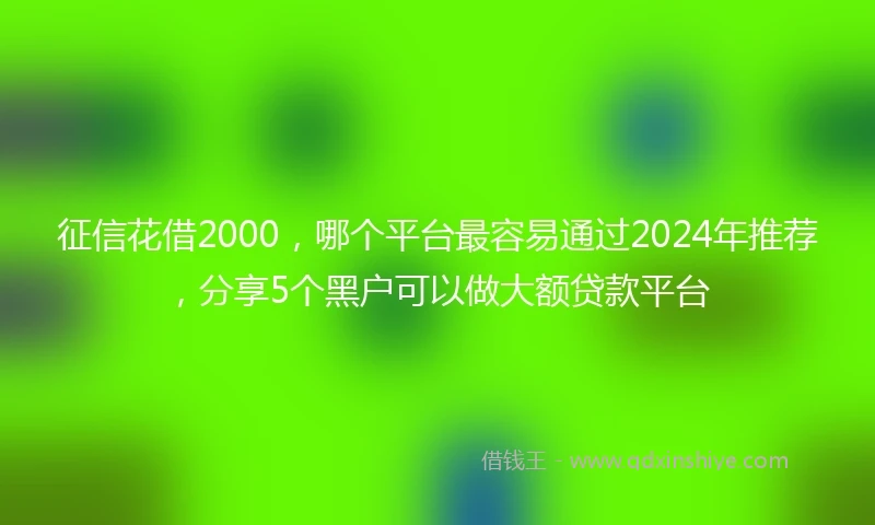 征信花借2000，哪个平台最容易通过2024年推荐，分享5个黑户可以做大额贷款平台