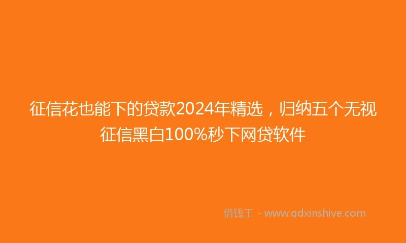 征信花也能下的贷款2024年精选，归纳五个无视征信黑白100%秒下网贷软件