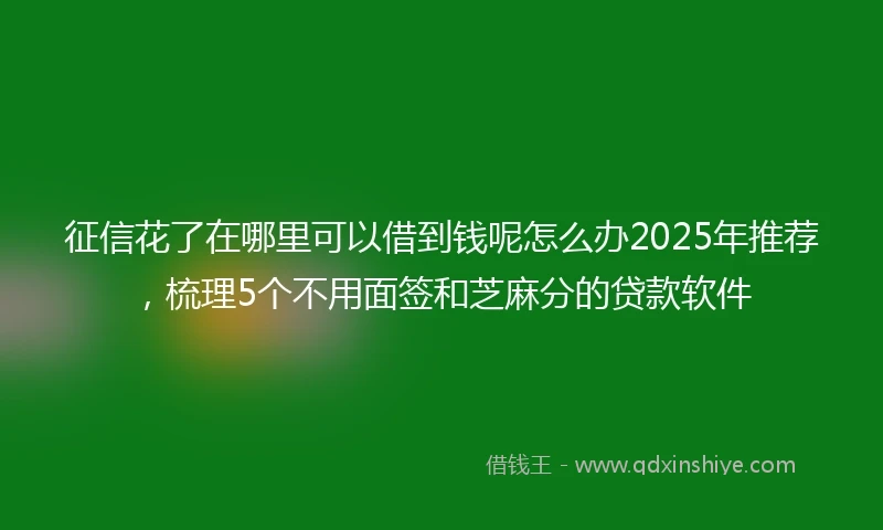 征信花了在哪里可以借到钱呢怎么办2025年推荐，梳理5个不用面签和芝麻分的贷款软件