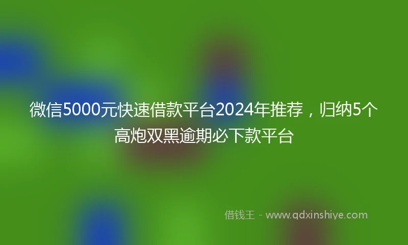 微信5000元快速借款平台2024年推荐，归纳5个高炮双黑逾期必下款平台