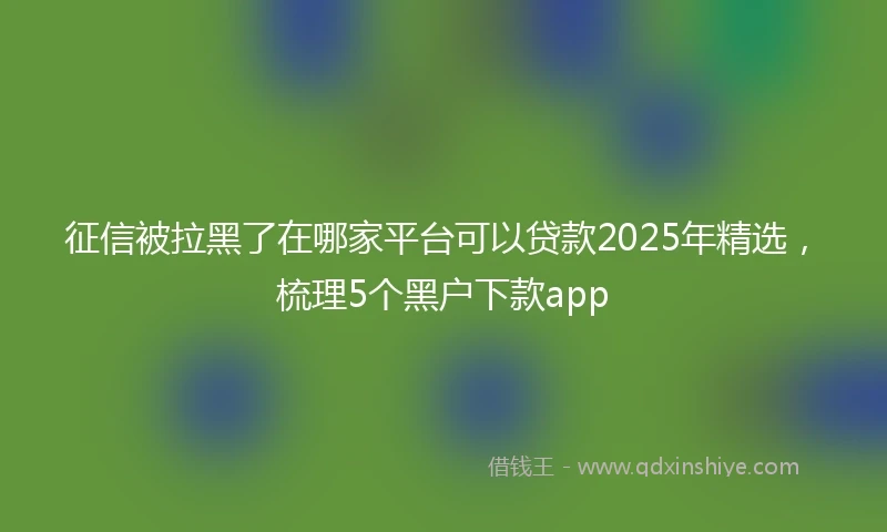 征信被拉黑了在哪家平台可以贷款2025年精选，梳理5个黑户下款app