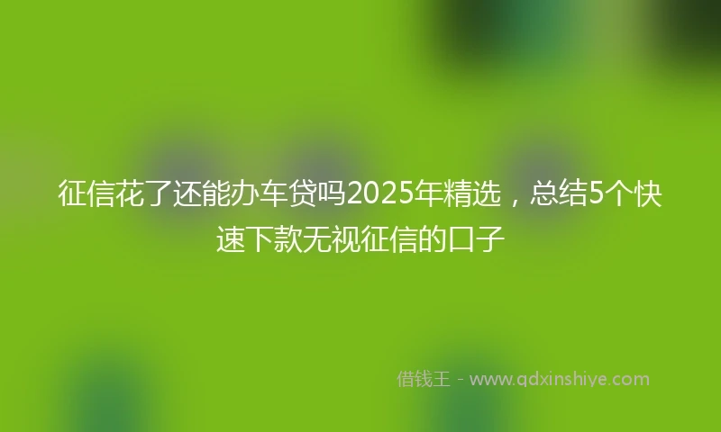 征信花了还能办车贷吗2025年精选，总结5个快速下款无视征信的口子