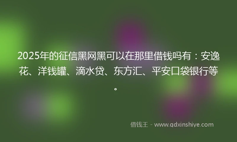 2025年的征信黑网黑可以在那里借钱吗有：安逸花、洋钱罐、滴水贷、东方汇、平安口袋银行等。