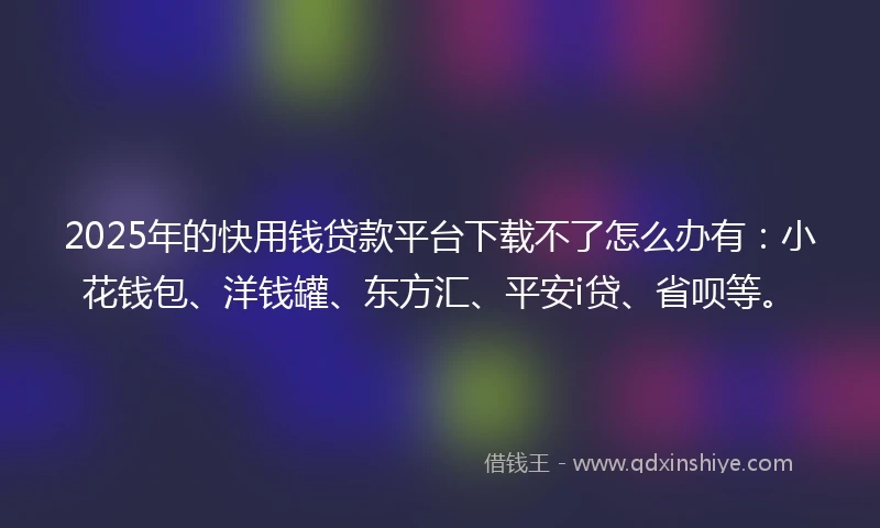 2025年的快用钱贷款平台下载不了怎么办有：小花钱包、洋钱罐、东方汇、平安i贷、省呗等。