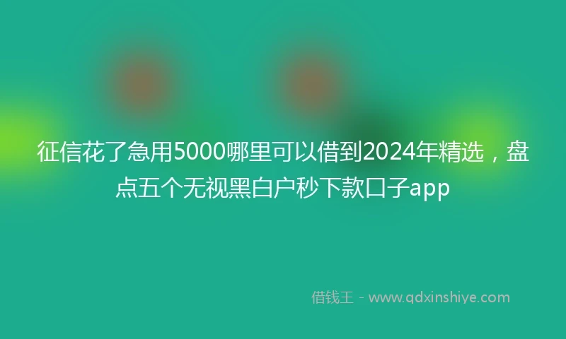 征信花了急用5000哪里可以借到2024年精选，盘点五个无视黑白户秒下款口子app